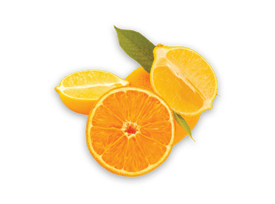 Citrus Fragrance